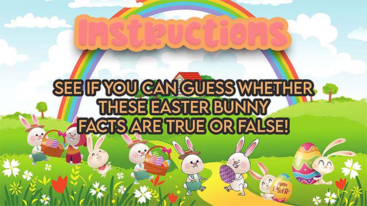 Is It True Easter Bunny Edition image number null